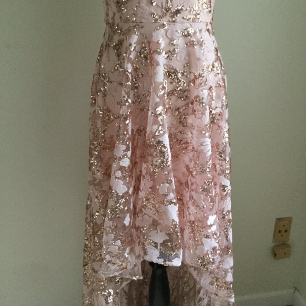 Eliza J. Sequin Peachy Pink Embroidered Sequin Gown 6 - Picture 4 of 13